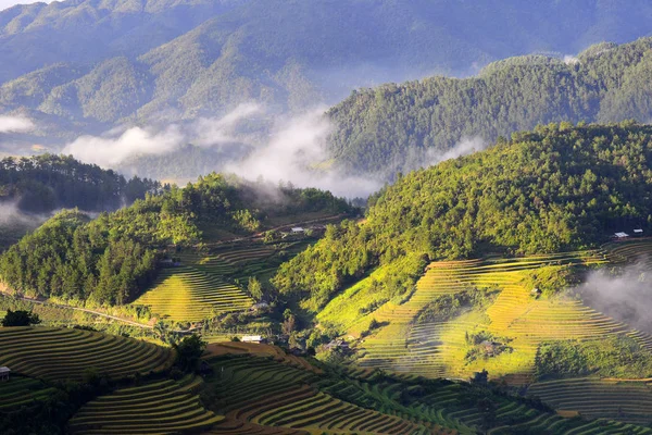 Campos Tradicionales Terraza Arroz Región Sapa Norte Vietnam — Foto de Stock