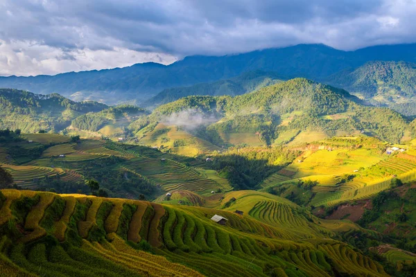 Hermosa Cordillera Con Arroz Terrazas Cuando Mira Desde Punto Vista — Foto de Stock