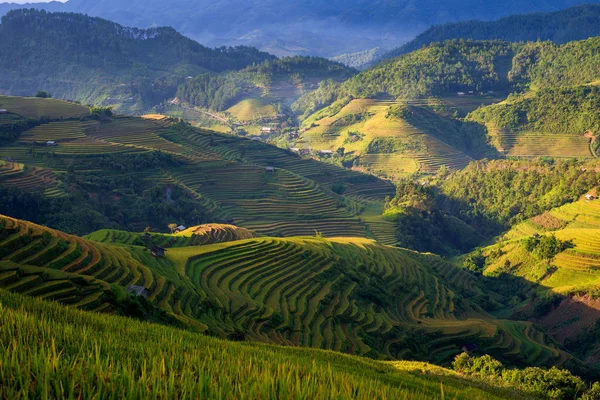 Schöne Gebirgskette Mit Reisterrasse Vom Aussichtspunkt Pantan Der Provinz Cang — Stockfoto