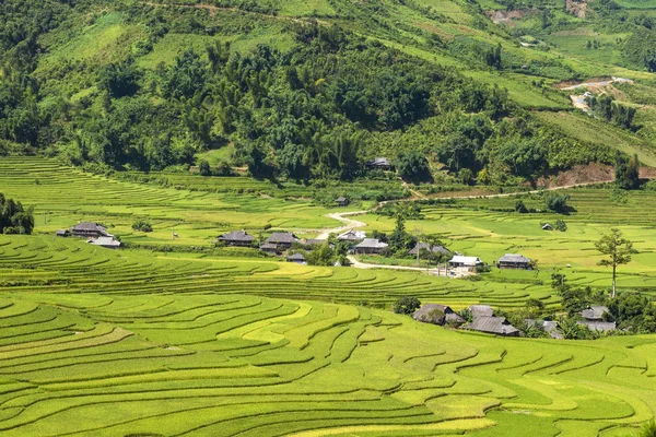 Campos Tradicionales Terraza Arroz Región Sapa Norte Vietnam — Foto de Stock