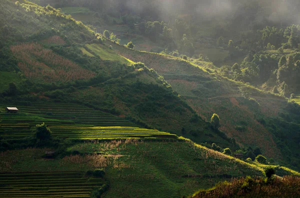 Tradiční Rýžová Pole Oblasti Sapa Severní Vietnam — Stock fotografie