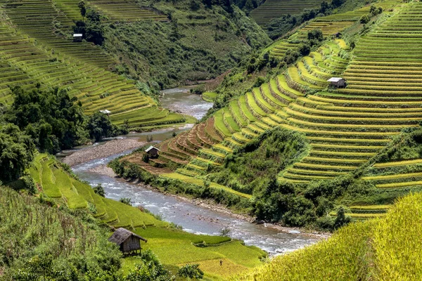 Campos Tradicionales Terraza Arroz Región Sapa Norte Vietnam — Foto de Stock