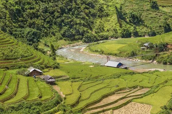 Traditionella Risfält Sapa Region Norra Vietnam — Stockfoto