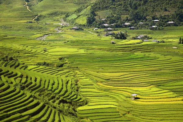 Krásná Rýže Terasovité Zemědělské Pole Malou Vesnicí Během Cesty Hanoi — Stock fotografie