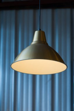 Modern altın metal tavan lambası iç aydınlatma ampulleri dekorasyon çağdaş