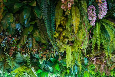 Tropikal yağmur ormanlarının güzel doğası arka plan için yapay bahçe dekorasyonbitki