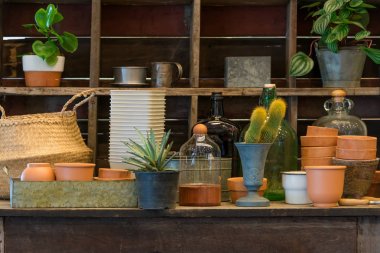 Bahçe iç dekorasyon çömlek ve vazo şişe öğeleri ekipmanları ile ahşap raf yeşil ağaç bitki