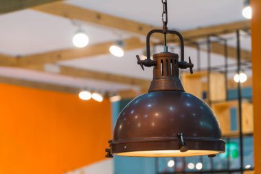 Modern metal tavan lambası iç aydınlatma ampulleri dekorasyon çağdaş