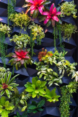 Güzel doğal taze yeşil yaprakları duvar kağıdı arka plan için desenli