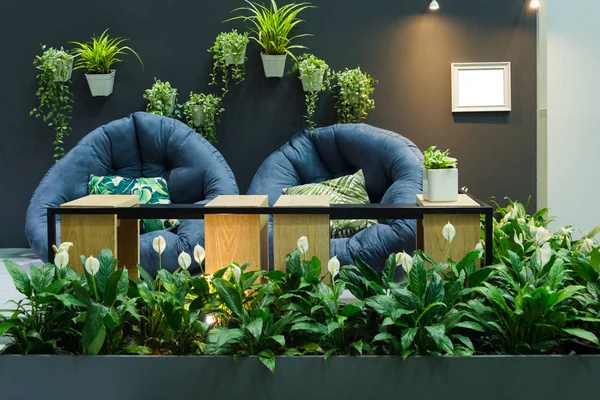 モダンなグレーのファブリックリラックスチェア クッション枕と白い木製のフォトフレーム 自然な緑の木の装飾が現代的なリビングルームの壁に木の植物 — ストック写真