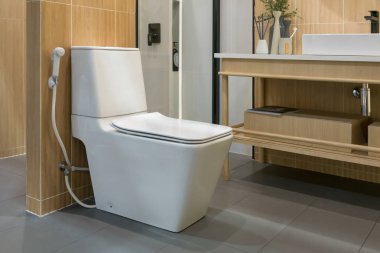 Bir banyo iç çağdaş modern beyaz klozet