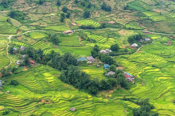Schöne Reisterrassenfeld Ist Der Berühmte Ort Und Reiseziel Hoang Lien — Stockfoto