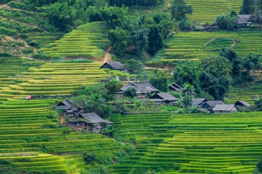 SA PA 'daki güzel pirinç tarlası Sa Pa Hoang Lien Oğlu dağ sırası, Lao Cai Eyaleti, Vietnam' da bulunan ünlü bir yer ve seyahat yeridir.