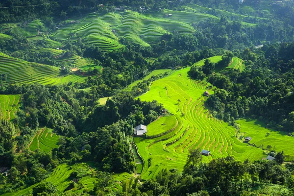 Nádherná Rýžová Terasa Městě Nejoblíbenější Destinace Cestování Severním Vietnamu — Stock fotografie