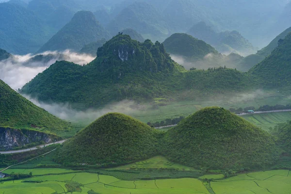 Schöne Landschaft Mit Reisfeldern Von Feenbusen Oder Zwillingsbergen Nui Doi — Stockfoto