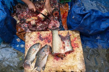 Lao Cai, Vietnam'da Bac Ha etnik azınlıklar pazarında veya Pazar pazarında tüccar taze balık