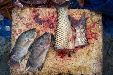 Lao Cai, Vietnam'da Bac Ha etnik azınlıklar pazarında veya Pazar pazarında tüccar taze balık