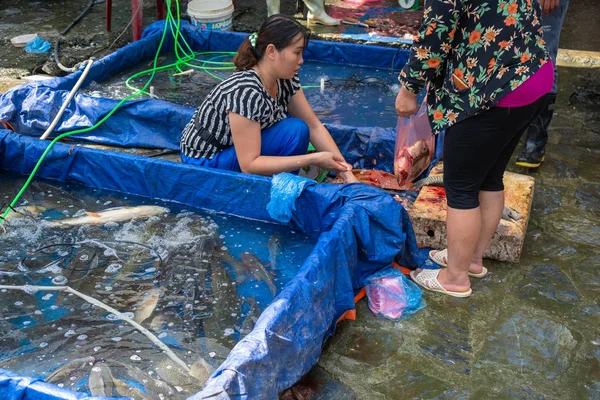 Bac Vietnam August 2019 Händler Von Frischem Fisch Zum Kochen — Stockfoto