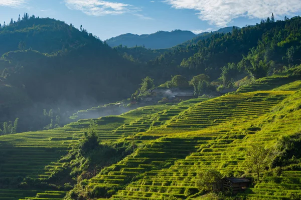 SA PA 'daki pirinç tarlasının güzel manzarası Kuzeybatı Vietnam' daki seyahat merkezidir.