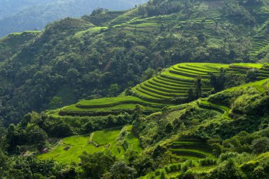 Kuzeybatı Vietnam Mu Cang Chai ilçe Yen Bai eyaletinde Sa Pa gezisi Hanoi sırasında küçük bir köy ile güzel pirinç teraslı tarım alanı