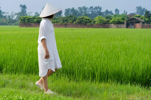 Women Walking Beautiful Rice Terrace Field Famous Place Travel Destination — Stock Photo, Image