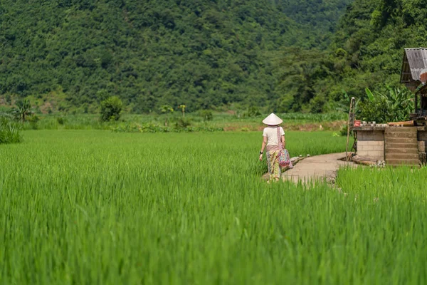 Kvinnor Går Phia Thap Samhällsbaserad Turism Hantverks Bygd Från Nung — Stockfoto
