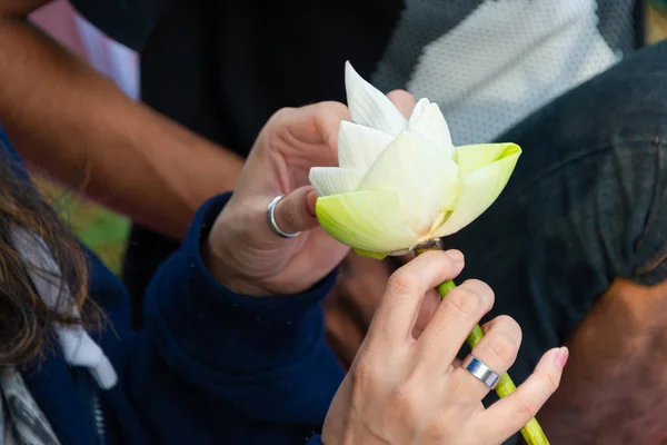 Κρατούσε Στο Χέρι Όμορφα Λουλούδια Λωτού Για Λατρεία Σύμφωνα Βουδιστικό — Φωτογραφία Αρχείου