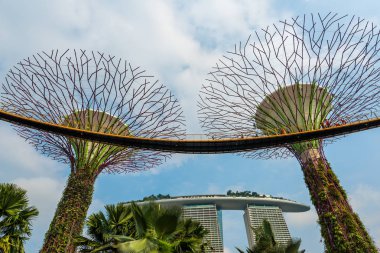 İnanılmaz Supertree, Singapur körfezindeki Bahçeler 'in üzerinde etkileyici bir hava yürüyüşü Singapur körfezindeki renkli, fütürist bir parktır.