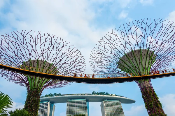 Amazing Supertree Een Indrukwekkende Skywalk Tuinen Gardens Bay Kleurrijke Futuristische — Stockfoto