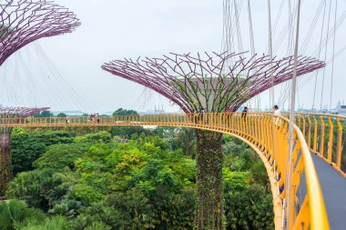 İnanılmaz Supertree, Singapur körfezindeki Bahçeler 'in üzerinde etkileyici bir hava yürüyüşü Singapur körfezindeki renkli, fütürist bir parktır.