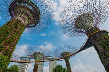 İnanılmaz Supertree, Singapur körfezindeki Bahçeler 'in üzerinde etkileyici bir hava yürüyüşü Singapur körfezindeki renkli, fütürist bir parktır.