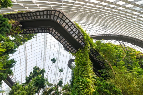 Ciudad Del Singapur Singapur Julio 2018 Increíble Entorno Cúpula Del — Foto de Stock