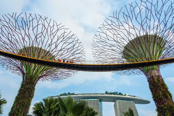 Singapore City Singapore Juli 2018 Supertrees Imponerande Skywalk Över Trädgårdarna — Stockfoto