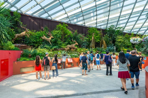 Singapore Juli 2018 Traveller Flower Dome Spektakulärt Och Innovativt Det — Stockfoto