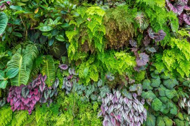 Tropikal yağmur ormanlarının güzel doğası arka plan için yapay bahçe dekorasyonbitki