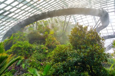 Singapur Şehri, Singapur - 29 Temmuz 2018: Limandaki Gardens 'taki Bulut Ormanı Kubbesi' nin Şaşırtıcısı Singapur 'da popüler bir seyahat merkezi olan tropikal bir orman.