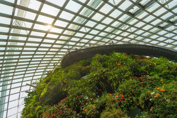 Singapore City Singapore Juli 2018 Amazing Cloud Forest Kupol Miljö — Stockfoto