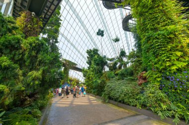 Singapur Şehri, Singapur - 29 Temmuz 2018: Limandaki Gardens 'taki Bulut Ormanı Kubbesi' nin Şaşırtıcısı Singapur 'da popüler bir seyahat merkezi olan tropikal bir orman.