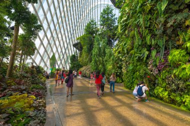 Singapur Şehri, Singapur - 29 Temmuz 2018: Limandaki Gardens 'taki Bulut Ormanı Kubbesi' nin Şaşırtıcısı Singapur 'da popüler bir seyahat merkezi olan tropikal bir orman.