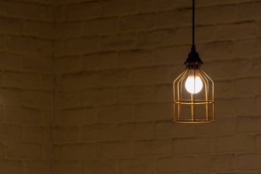 Modern altın tel çerçeve tavan lambası iç aydınlatma ampulleri dekorasyonu çağdaş