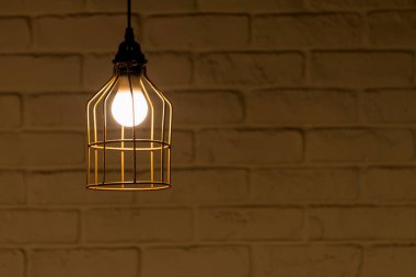 Modern altın tel çerçeve tavan lambası iç aydınlatma ampulleri dekorasyonu çağdaş