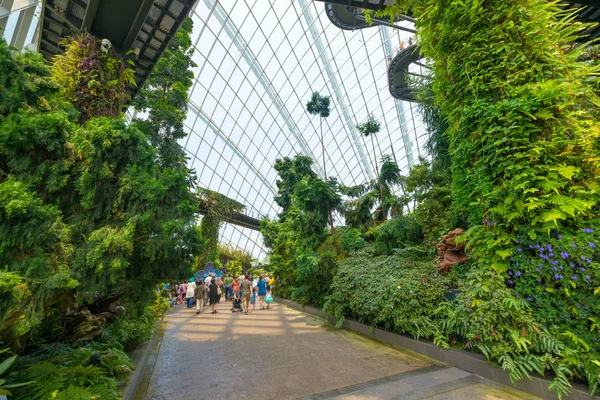 Singapur Şehri Singapur Temmuz 2018 Limandaki Gardens Taki Bulut Ormanı — Stok fotoğraf