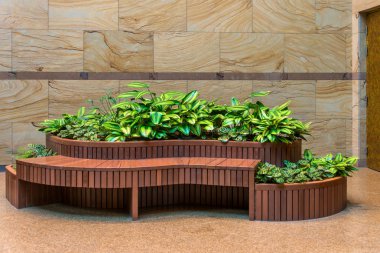 Sarı mermer duvar ve doğal yeşil ağaç iç dekorasyonu ile rahatlamak için uzun ahşap sandalyeler.