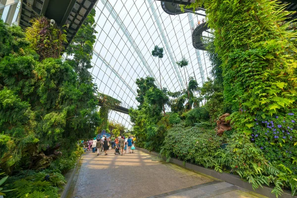 Ciudad Del Singapur Singapur Julio 2018 Increíble Entorno Cúpula Del — Foto de Stock
