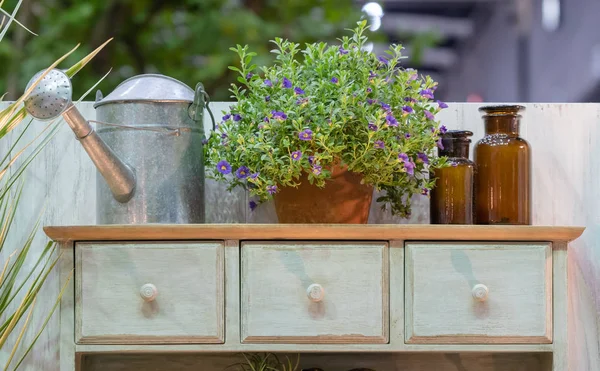 Gabinete Madera Latas Metal Zinc Con Flor Violeta Planta Interior — Foto de Stock