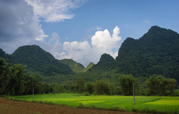 Schöne Reisfelder Begannen Mit Bergen Und Blauem Himmel Den Ländlichen — Stockfoto