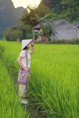 Kadınlar, Sa Pa Hoang Lien Son sıradağları, Lao Cai, Kuzey Vietnam 'daki ünlü yer olan SA PA' daki güzel pirinç tarlasını izliyorlar.