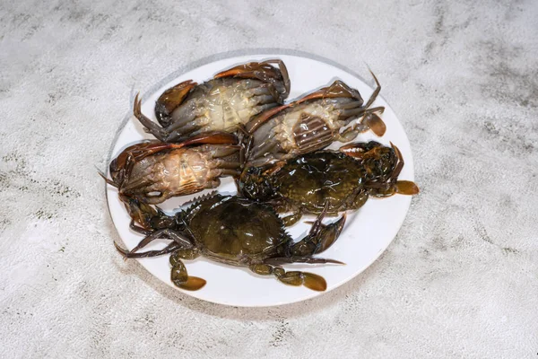 Crab Molting Science Name Scylla Serrata White Plate Mud Crab — Stock Photo, Image