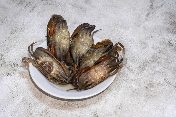 Crab Molting Science Name Scylla Serrata White Plate Mud Crab — Stock Photo, Image