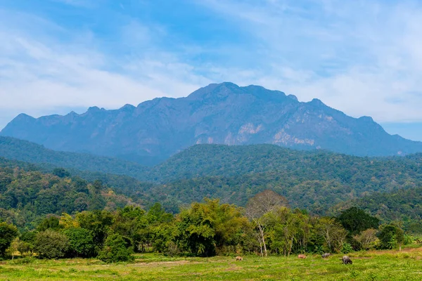 Prachtige Doi Luang Chiang Dao Berg Provincie Chiang Mai Thailand — Stockfoto
